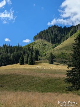 Polana Chochołowska