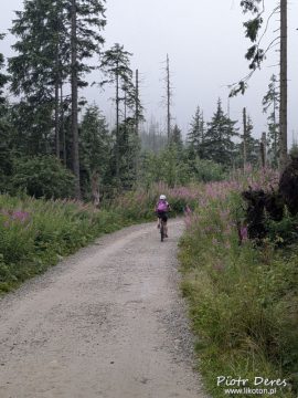 Tatry Dolina Suchej Wody
