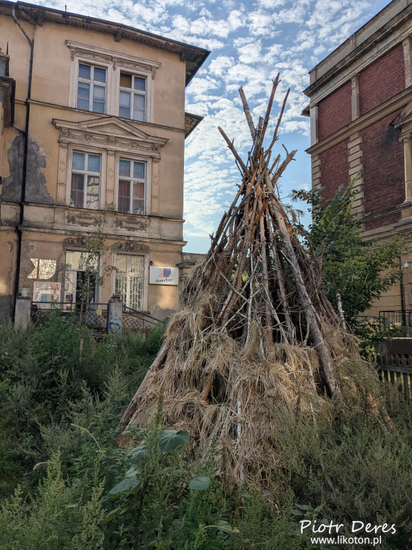 Toruń Domkultury