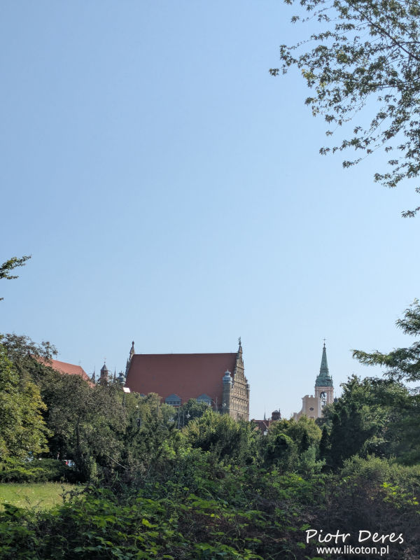 Toruń Muzeum Uniwersyteckie